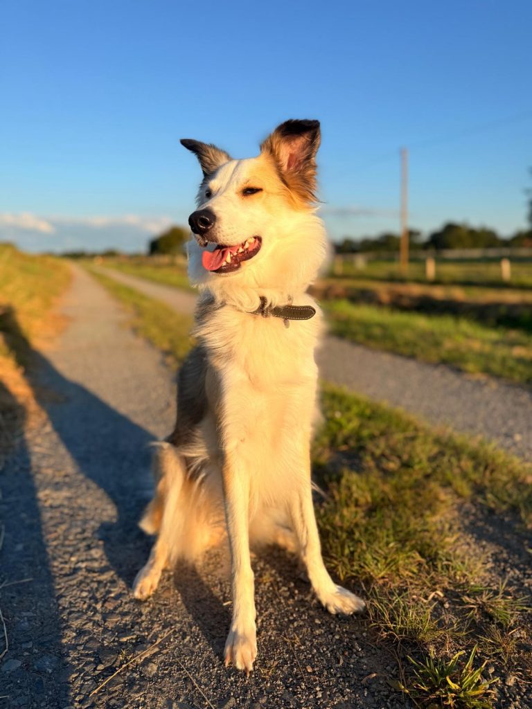 whatsapp image 2025 08 20 at 20.23.09