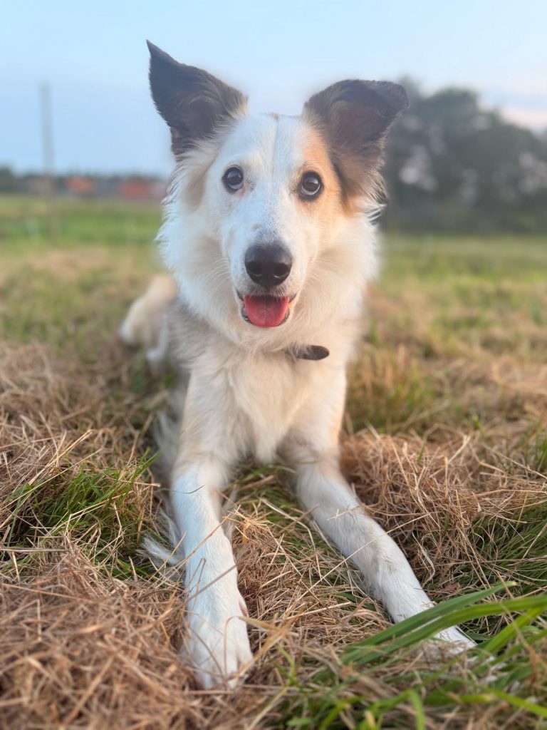 whatsapp image 2025 08 14 at 04.52.49 (4)